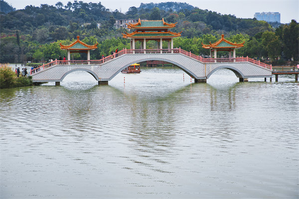 肇慶戰(zhàn)略咨詢公司如何為企業(yè)定制長遠發(fā)展規(guī)劃？