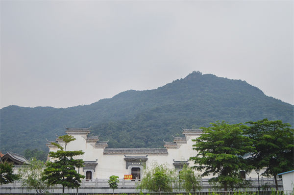 子公司各自為戰(zhàn)內(nèi)耗大，佛山集團(tuán)管控咨詢公司有何整合之道？